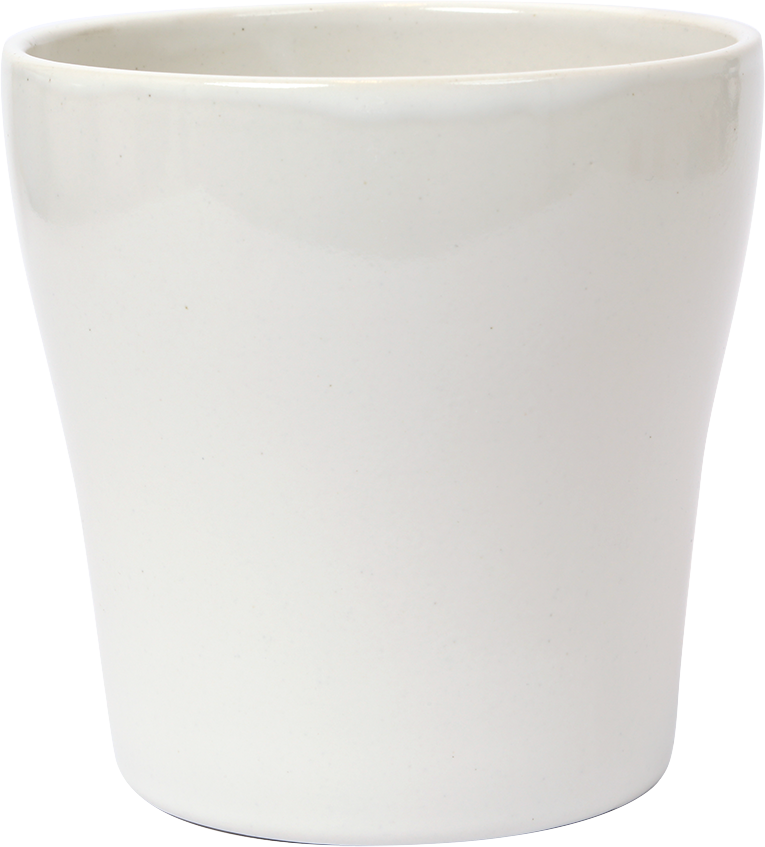 1. Anna135 with Tray packaging