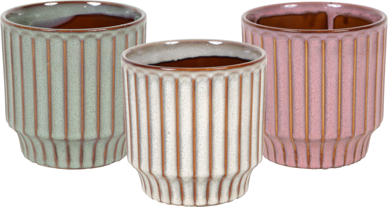 1. Carleen130 with Tray packaging